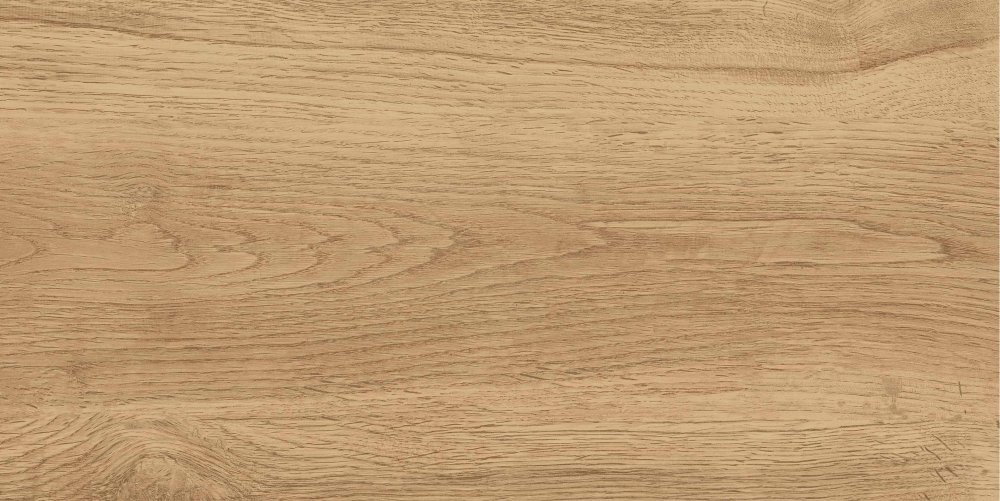 GT220VG Керамогранит Florida_GT Беж. 30x60  1\58,32