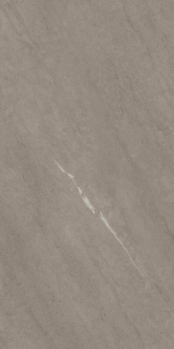 Керамогранит Forte dei Marmi Rock Venaria Grey 80x160