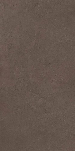 GO03 60x120x9 Непол.Рект. (Керамический гранит)