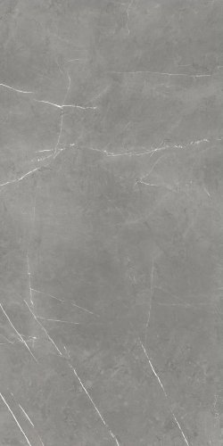 Forte Dei Marmi Elegant Grey Cerato  60×120