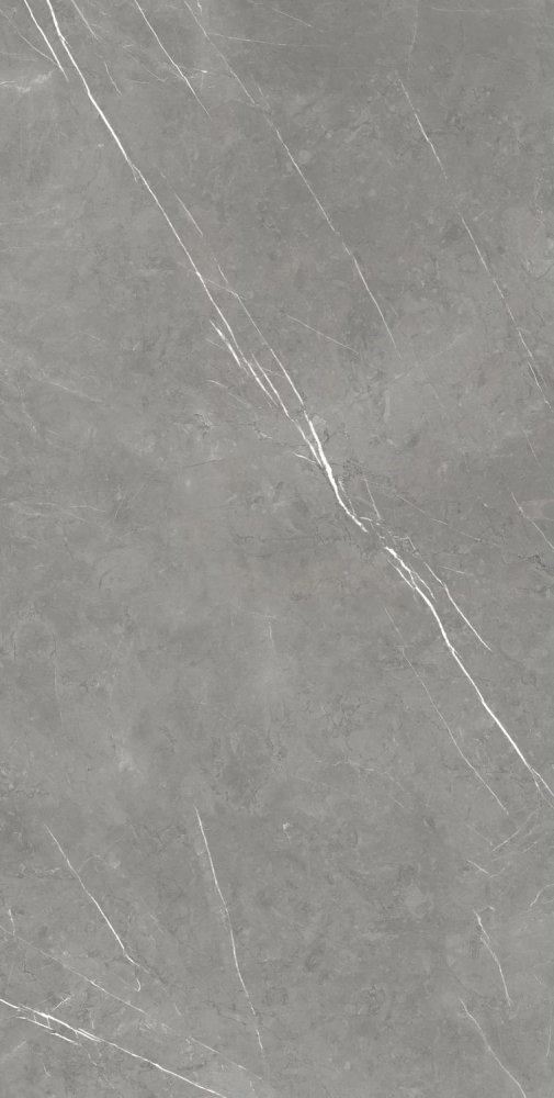 Forte Dei Marmi Elegant Grey Mat Rett  80×160