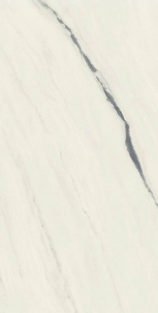 Forte Dei Marmi Panda White Lapp  80×160