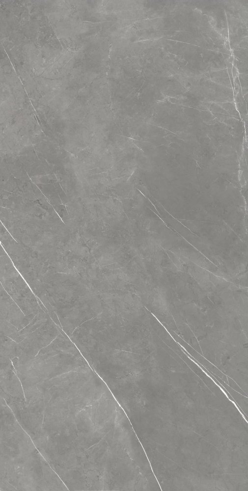 Forte Dei Marmi Elegant Grey Lapp 80×160