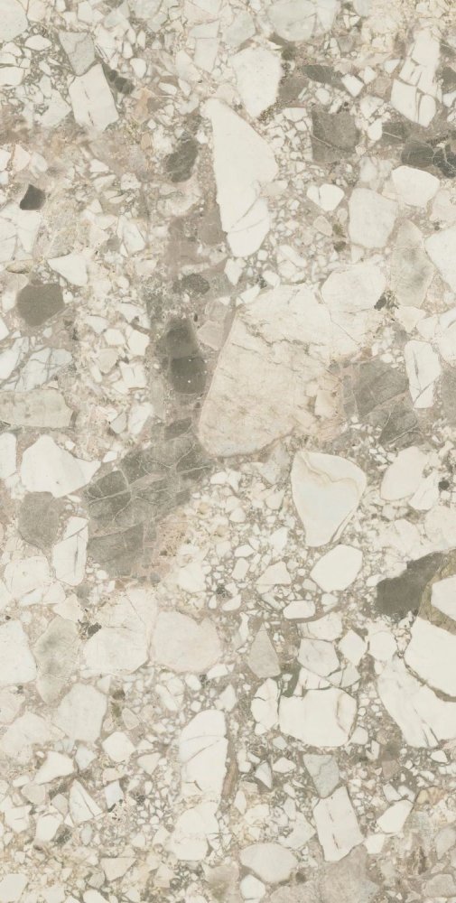 Forte Dei Marmi Ceppo Apuano Cream Lapp 80×160