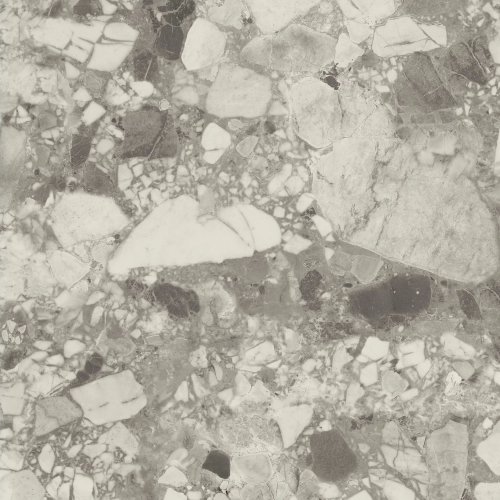 Forte Dei Marmi Ceppo Apuano Pearl Lapp  80×80