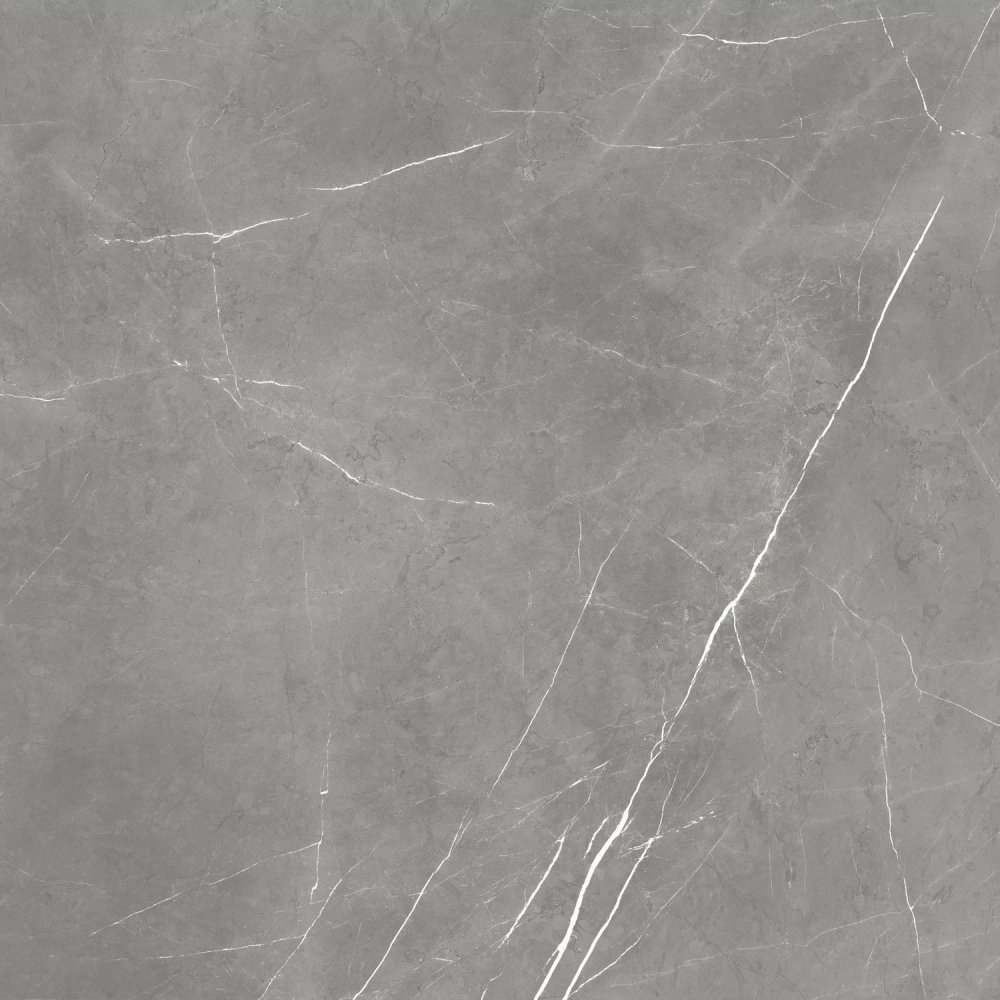 Forte Dei Marmi Elegant Grey Lastra 20mm  60×60