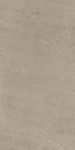 Wise Silver Grey Ret 60х120