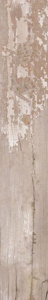 Natura Alerche Struct  19.5×120