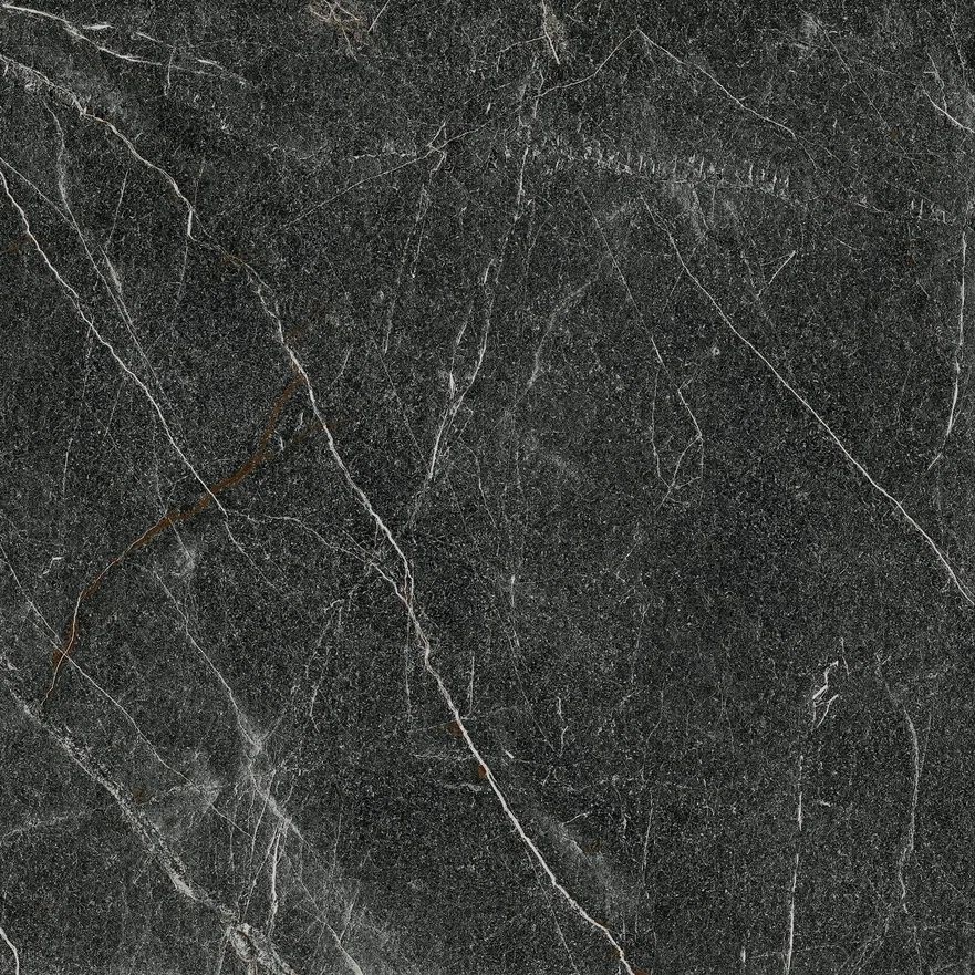 Sofia Black Olive LLR  60×60