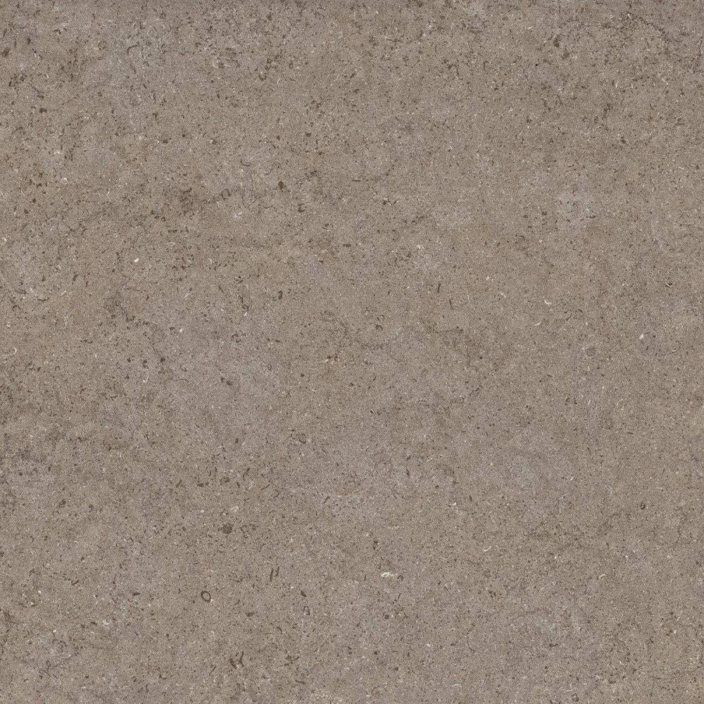 Discover Desert 60×60