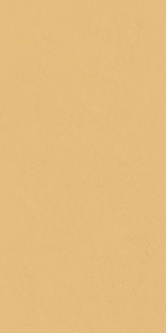 Surface Sun Pat 60x120