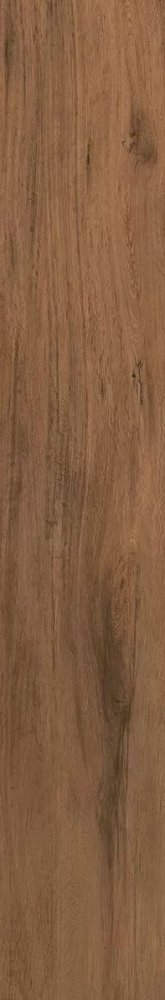 Сальветти Бежевый Тёмный Обрезной 9мм 20×119.5