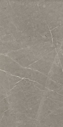 Skala Grey Beige MR 60×120