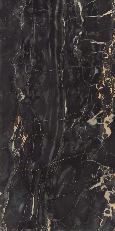 Massimo Portoro Polished 80×160