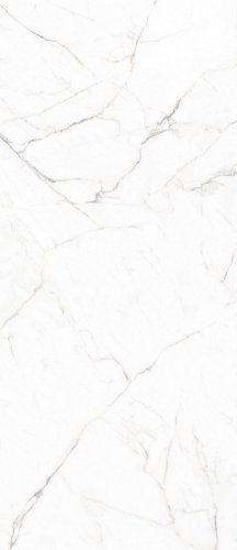 Statuario Super  120×278