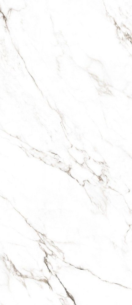 Statuario Castork 120×278