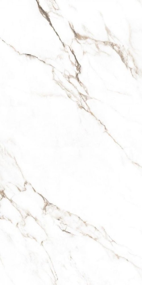 Statuario Castork Pol 80×160