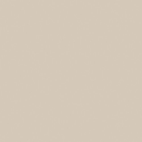 RW01 60x60 Непол.Рект. (Керамический гранит)