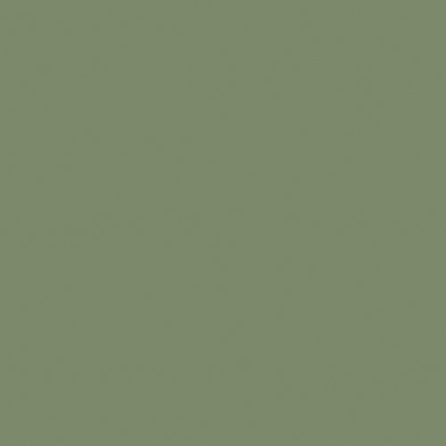 RW06 60x60 Непол.Рект. (Керамический гранит)