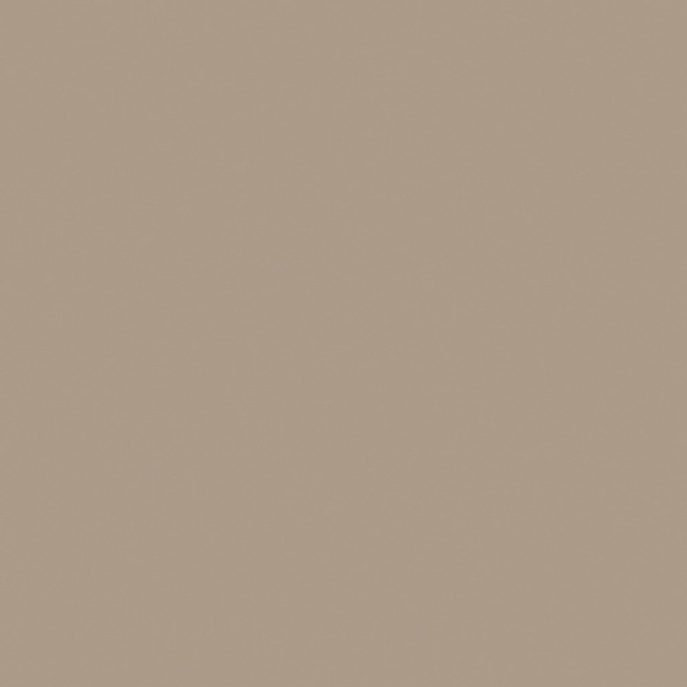 RW041 60x60 Непол.Рект. (Керамический гранит)